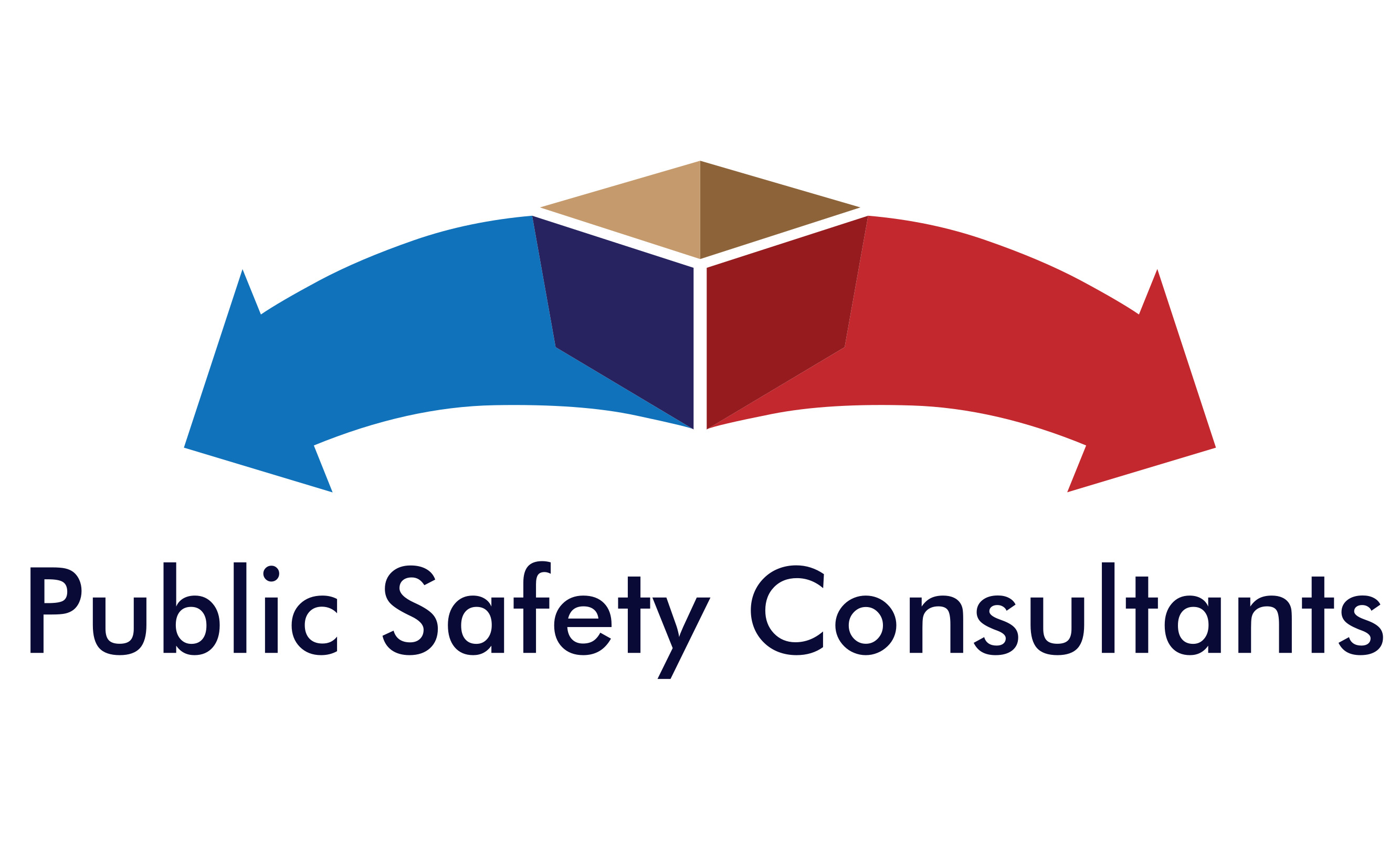 Public Safety Consultants